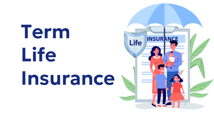 Safeguard Your Future with Term Insurance: A Guide to Pure Risk Life Coverage